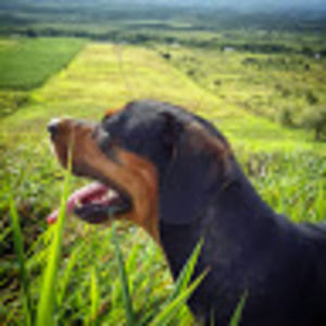 Meet your Posher, Juan miguel